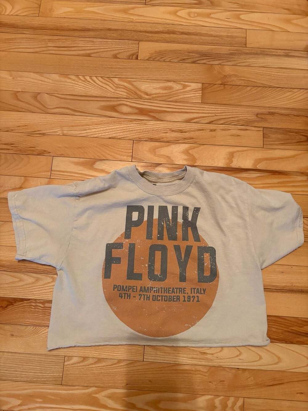 Original Retro Brand Pink Floyd Pompeii Amphitheatre 1971 Cropped Tee